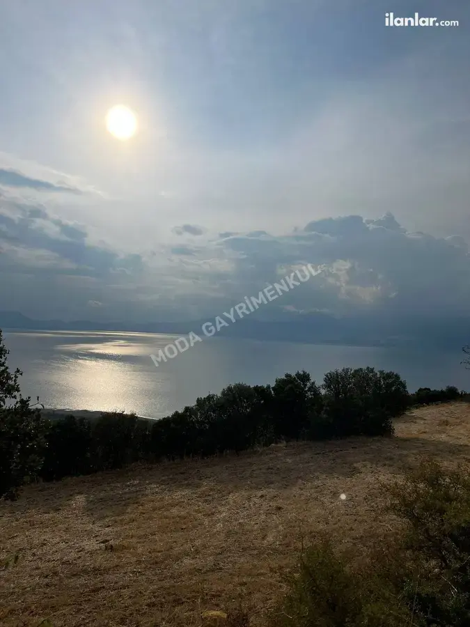 Isparta Gelendost Yeşilköy Köyü Mahallesi 6.092 m² satılık tarla arsa - Fotoğraf 2