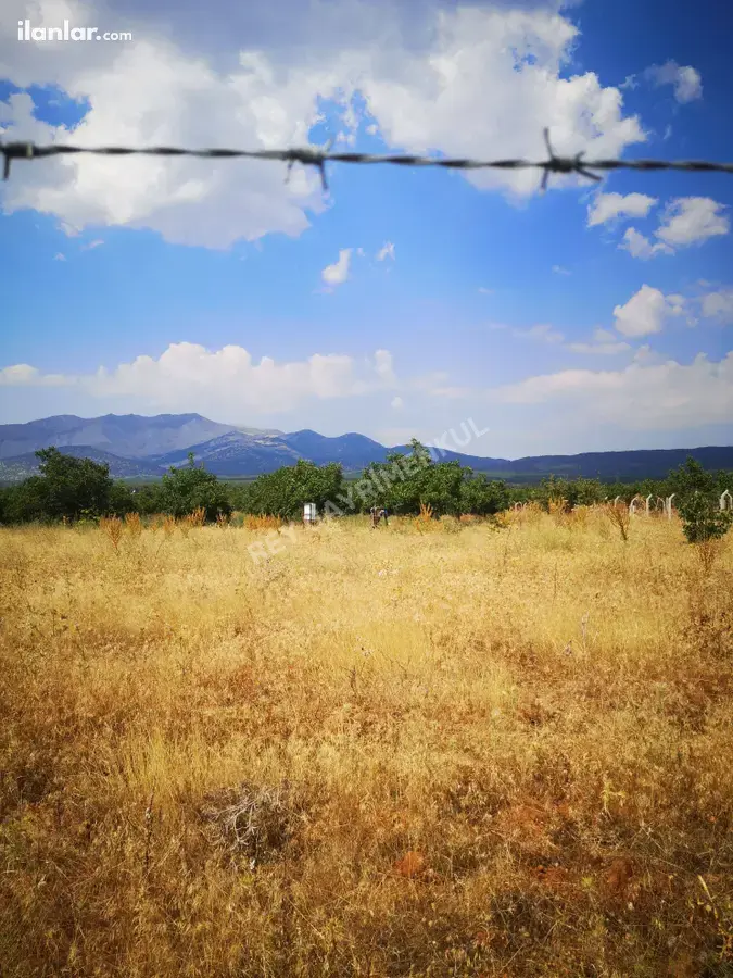 Denizli Tavas Kızılcabölük Mahallesi 25.600 m² satılık tarla arsa - Fotoğraf 2