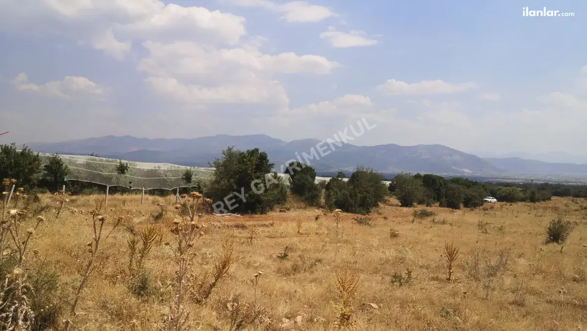 Denizli Tavas Kızılcabölük Mahallesi 25.600 m² satılık tarla arsa - Fotoğraf 3