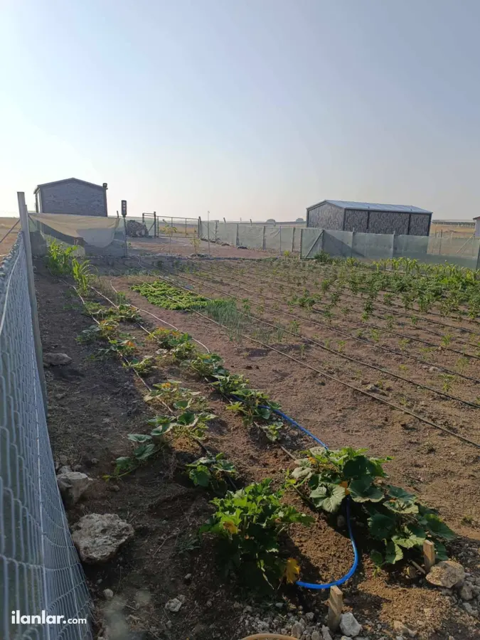 Eskişehir Odunpazarı Doğankaya Mahallesi 250 m² satılık bağ & Bahçe arsa - Fotoğraf 1