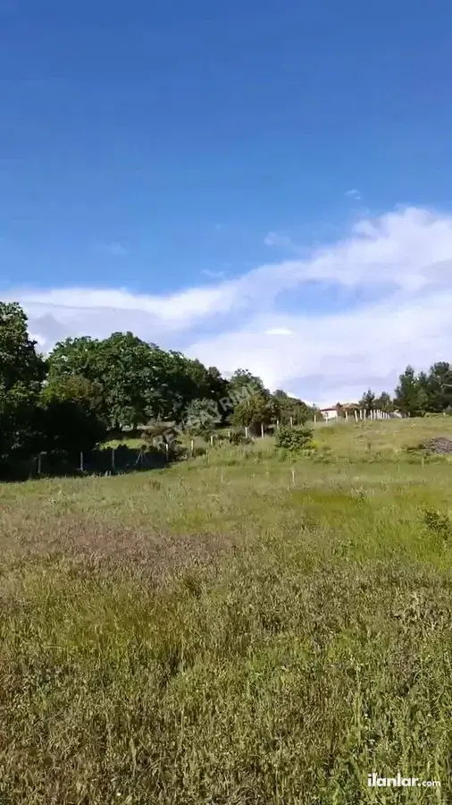 Denizli Tavas Kızılcabölük Mahallesi 3.195 m² satılık tarla arsa - Fotoğraf 1