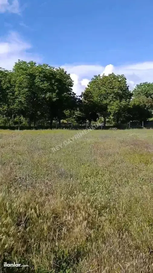 Denizli Tavas Kızılcabölük Mahallesi 3.195 m² satılık tarla arsa - Fotoğraf 2