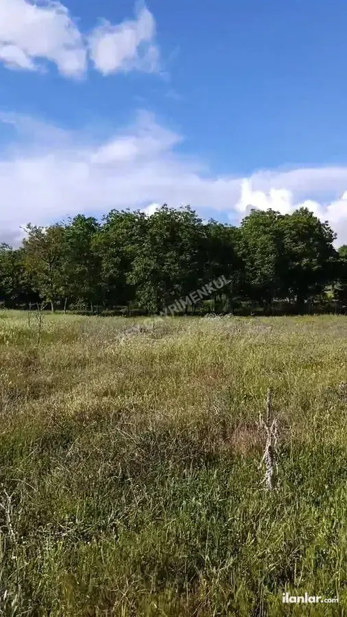 Denizli Tavas Kızılcabölük Mahallesi 3.195 m² satılık tarla arsa - Fotoğraf 3