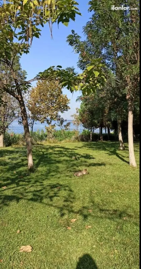 Yalova Armutlu Karşıyaka Mahallesi 98 m² kiralık kiralık - Fotoğraf 2