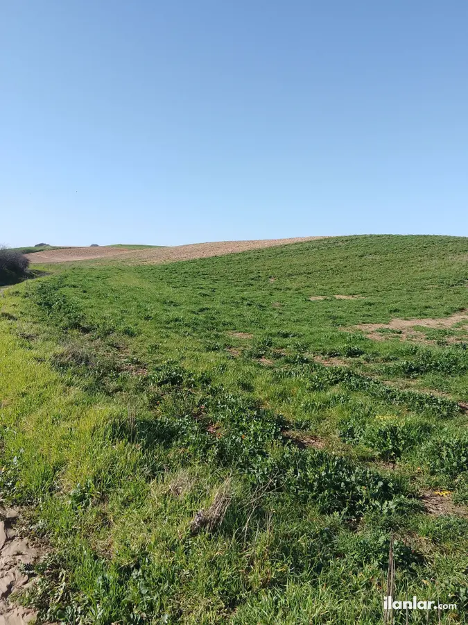 Tekirdağ Ergene Velimeşe Osb Mahallesi 427 m² satılık sanayi arsa - Fotoğraf 3