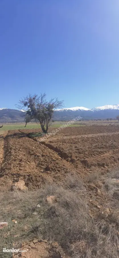 Denizli Tavas Bahçeköy Mahallesi 1.227 m² satılık tarla arsa - Fotoğraf 1