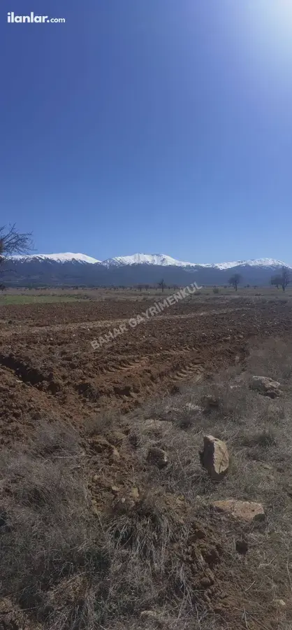 Denizli Tavas Bahçeköy Mahallesi 1.227 m² satılık tarla arsa - Fotoğraf 2