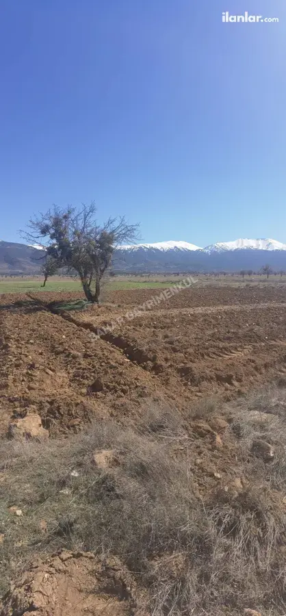 Denizli Tavas Bahçeköy Mahallesi 1.227 m² satılık tarla arsa - Fotoğraf 3