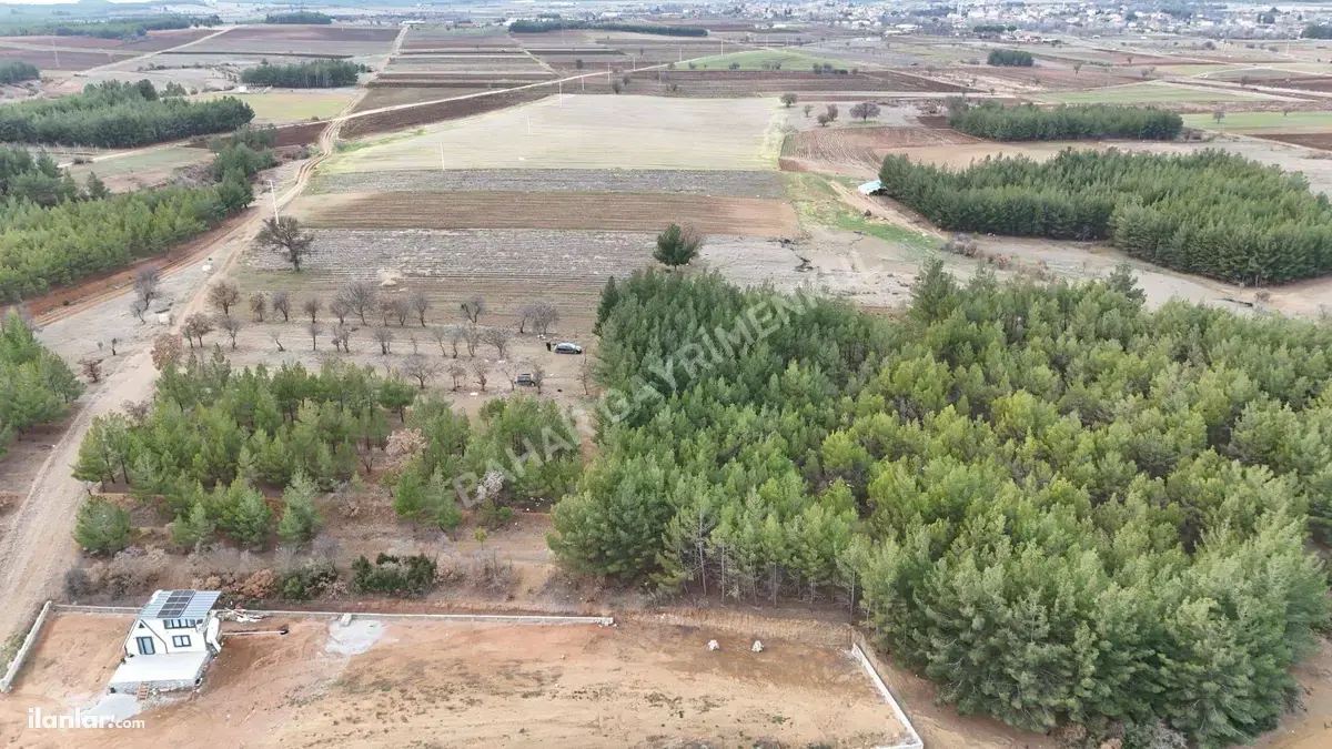 Denizli Acıpayam Akalan Mahallesi 13.500 m² satılık tarla arsa - Fotoğraf 2