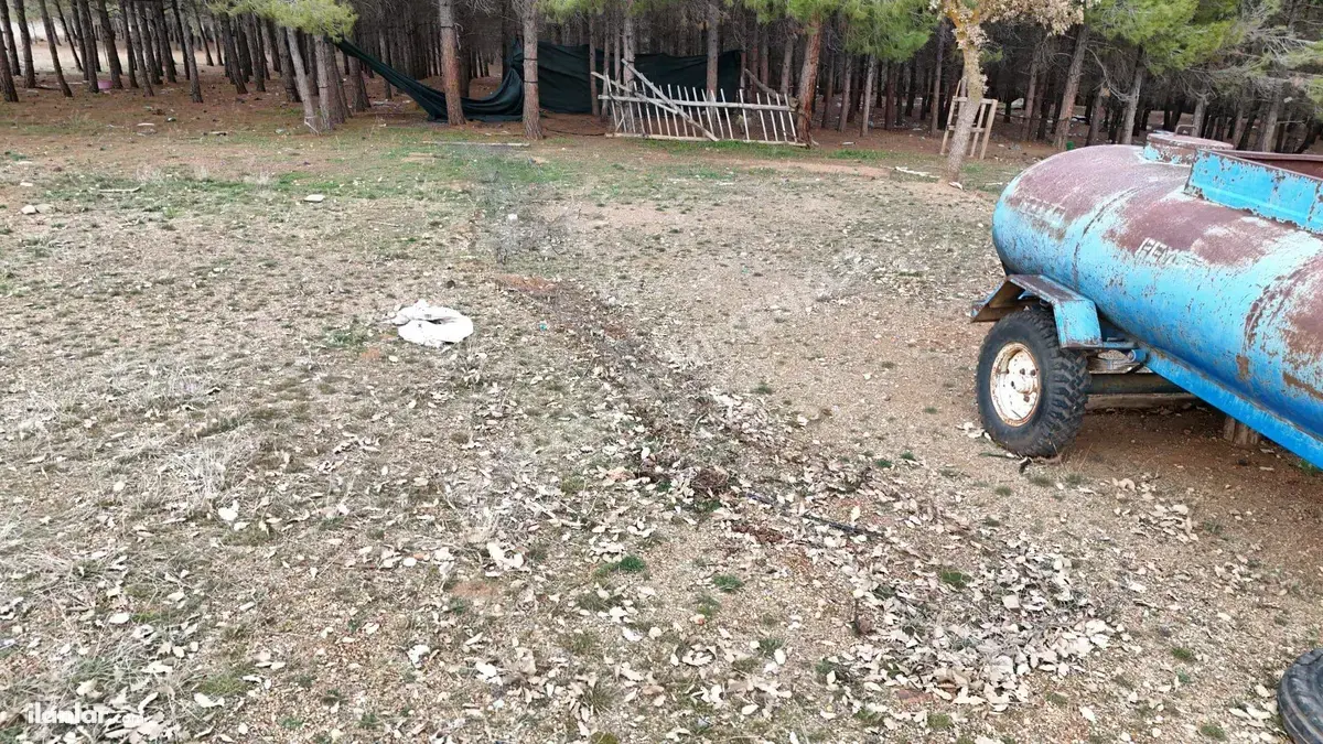 Denizli Acıpayam Akalan Mahallesi 13.500 m² satılık tarla arsa - Fotoğraf 3