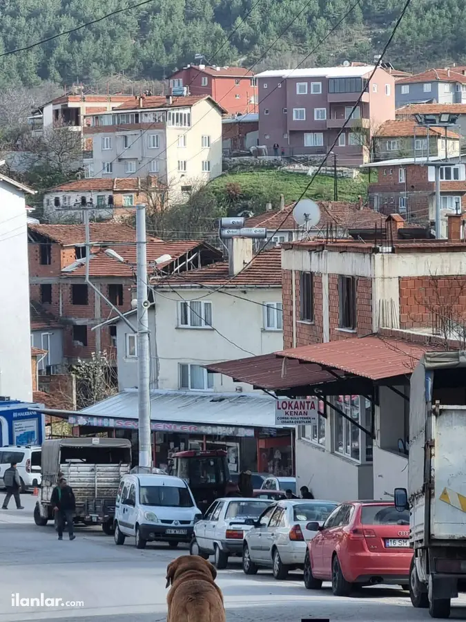 Bursa Büyükorhan Hocahasan Mahallesi 135 m² satılık muhtelif Arsa arsa - Fotoğraf 3