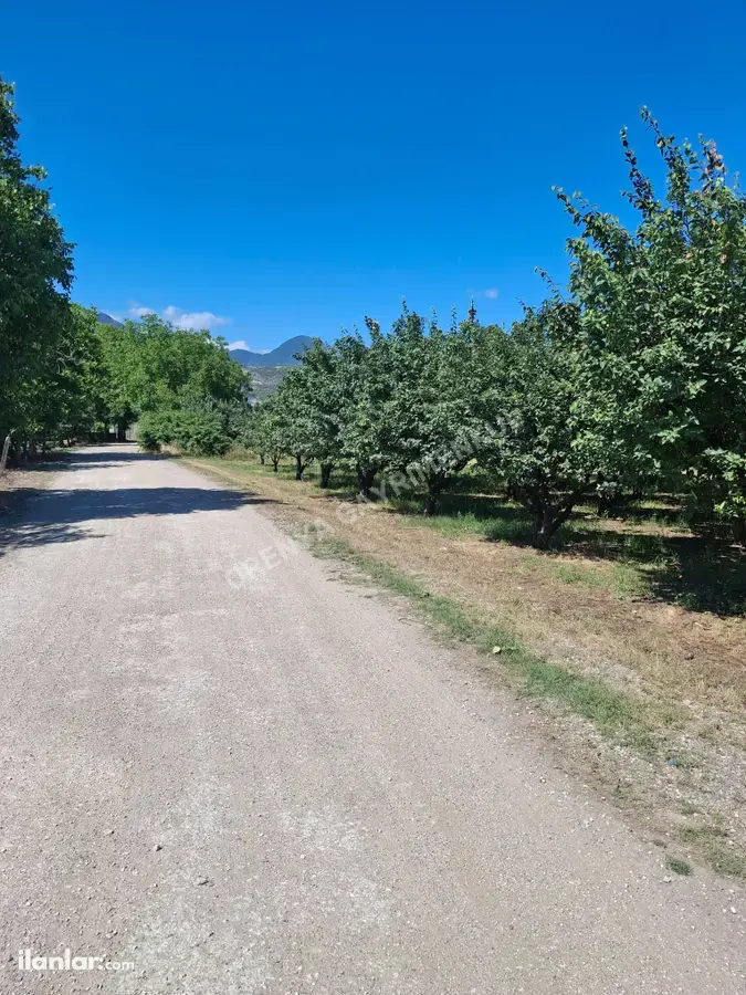 Sakarya Pamukova Yenice Mahallesi 4.840 m² satılık bağ & Bahçe arsa - Fotoğraf 1