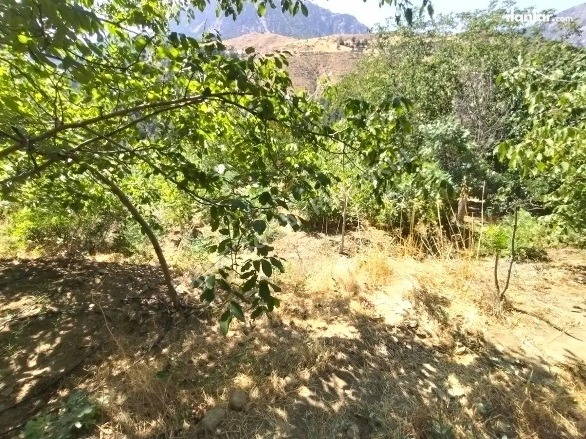 Kahramanmaraş Onikişubat Suçatı Mahallesi 534 m² satılık tarla arsa - Fotoğraf 1