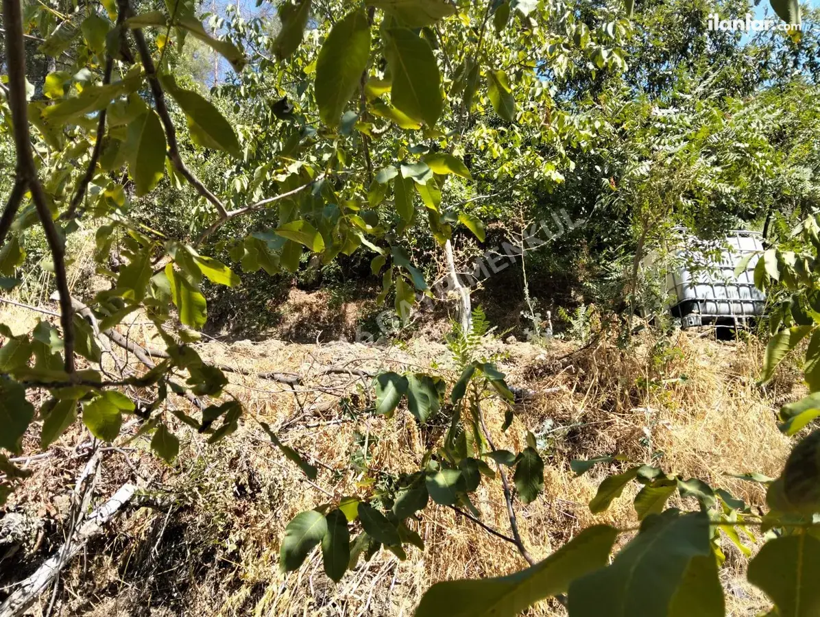 Kahramanmaraş Onikişubat Suçatı Mahallesi 534 m² satılık tarla arsa - Fotoğraf 2