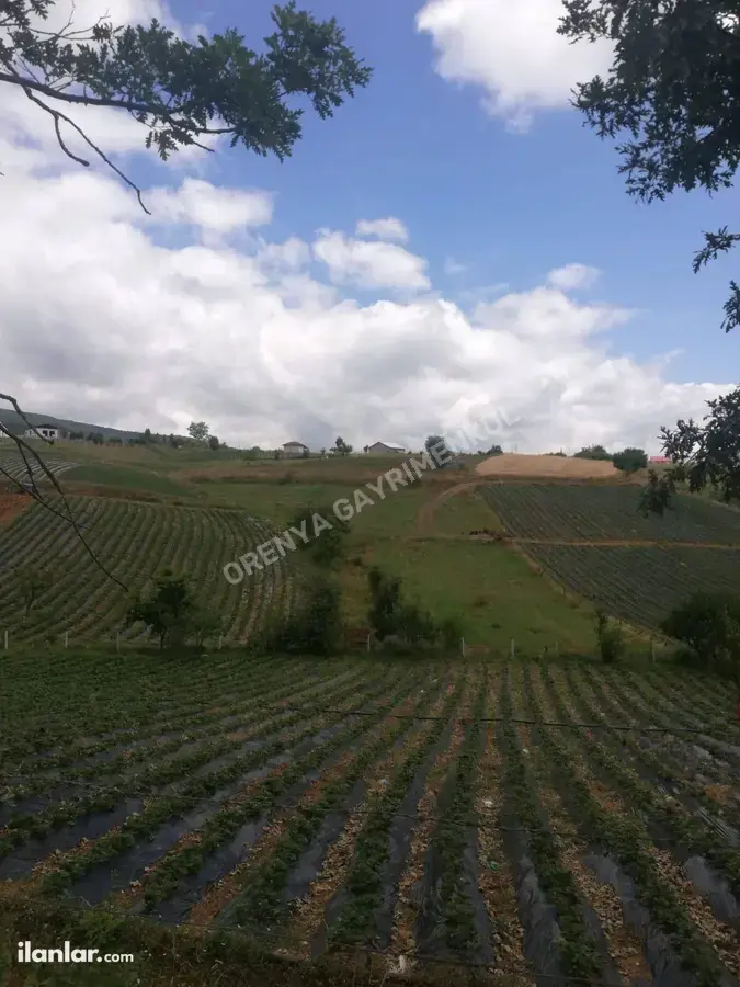 Sakarya Pamukova Çilekli Mahallesi 795 m² satılık tarla arsa - Fotoğraf 1