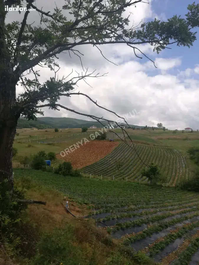 Sakarya Pamukova Çilekli Mahallesi 795 m² satılık tarla arsa - Fotoğraf 2
