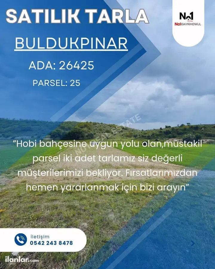 Eskişehir Tepebaşı Buldukpınar Mahallesi 603 m² satılık tarla arsa - Fotoğraf 1