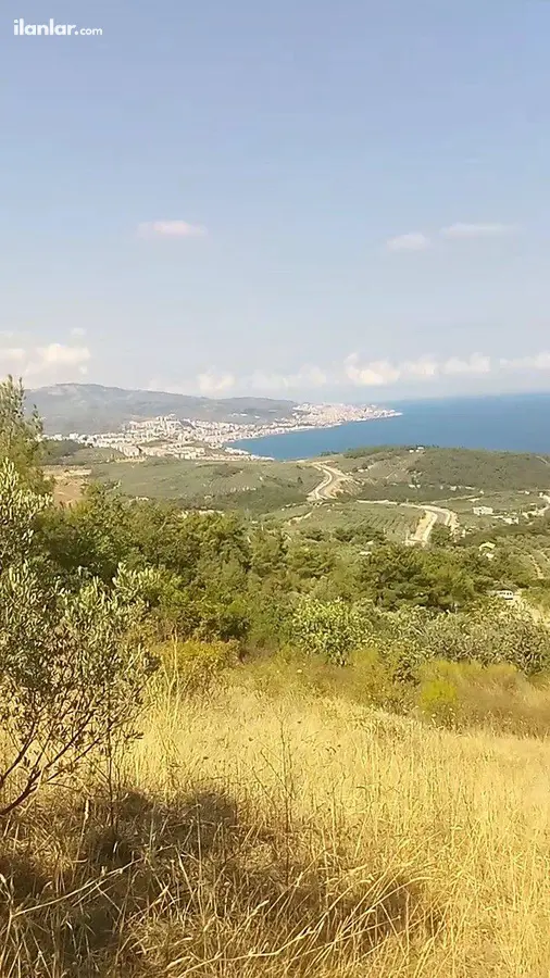 Bursa Mudanya Altıntaş Mahallesi 3.998 m² satılık bağ & Bahçe arsa - Fotoğraf 1