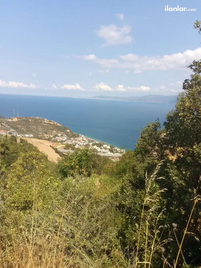 Bursa Mudanya Altıntaş Mahallesi 3.998 m² satılık bağ & Bahçe arsa - Fotoğraf 3