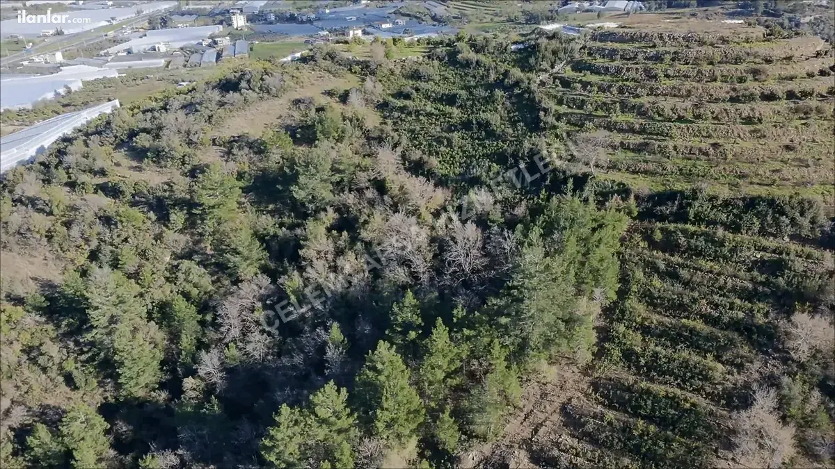 Antalya Gazipaşa Ekmel Mahallesi 180 m² satılık konut arsa - Fotoğraf 2