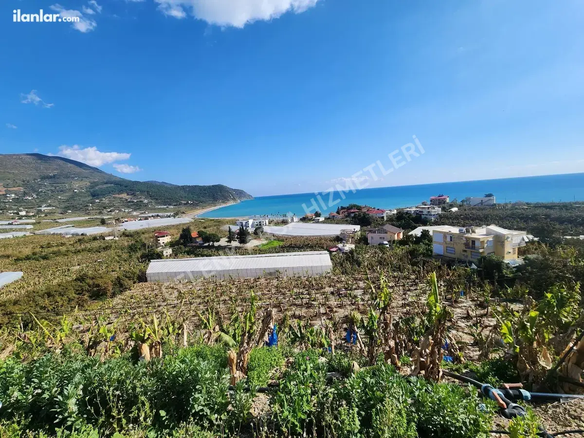 Antalya Gazipaşa Yakacık Mahallesi 854 m² satılık villa arsa - Fotoğraf 1