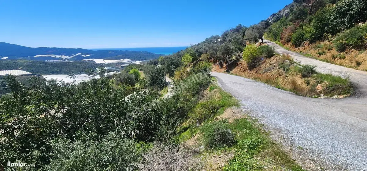 Antalya Alanya Hocalar Mahallesi 687 m² satılık villa arsa - Fotoğraf 1