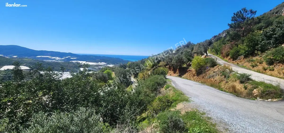 Antalya Alanya Hocalar Mahallesi 687 m² satılık villa arsa - Fotoğraf 3