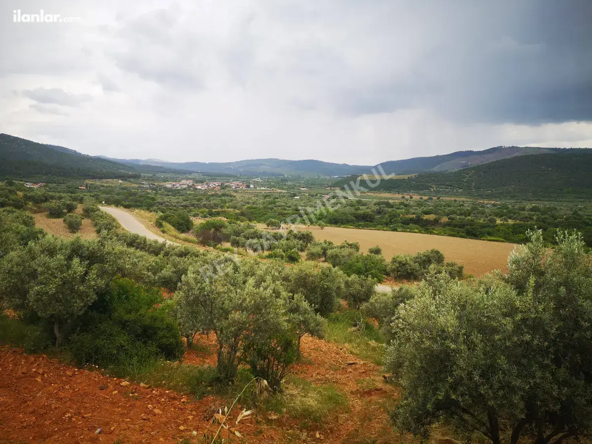 Denizli Tavas Seki Mahallesi 4.283 m² satılık tarla arsa - Fotoğraf 1