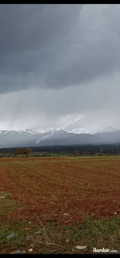 Denizli Tavas Çağırgan Mahallesi 2.800 m² satılık tarla arsa - Fotoğraf 2