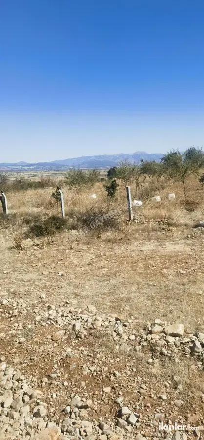 Denizli Serinhisar Şair Eşref Mahallesi 2.500 m² satılık bağ & Bahçe arsa - Fotoğraf 1