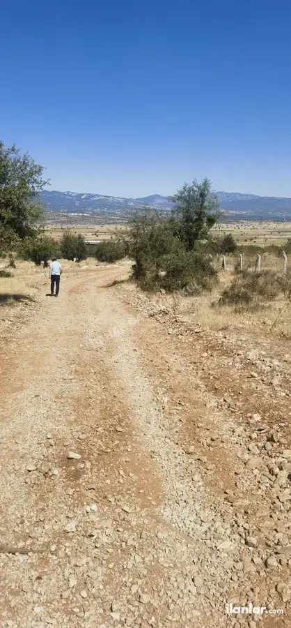 Denizli Serinhisar Şair Eşref Mahallesi 2.500 m² satılık bağ & Bahçe arsa - Fotoğraf 2