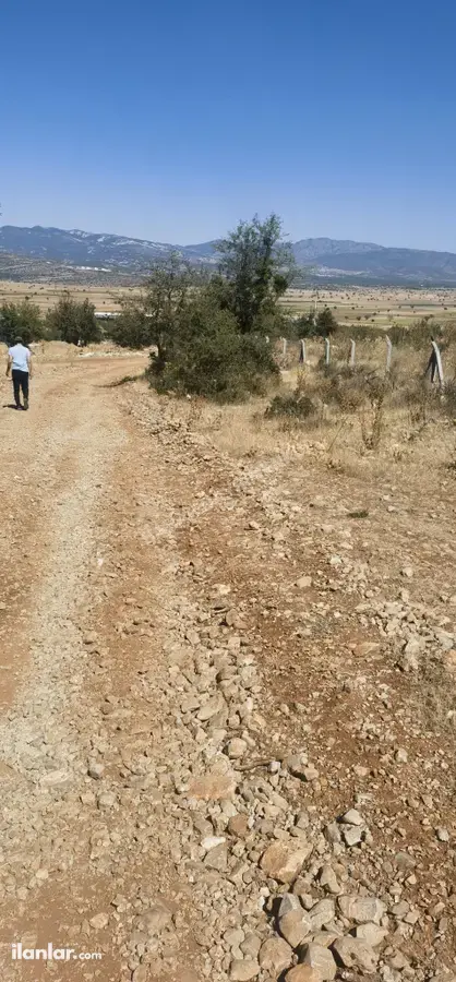 Denizli Serinhisar Şair Eşref Mahallesi 2.500 m² satılık bağ & Bahçe arsa - Fotoğraf 3