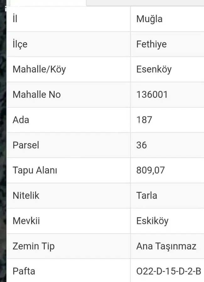 Muğla Fethiye Esenköy Mahallesi 809 m² satılık tarla arsa - Fotoğraf 2