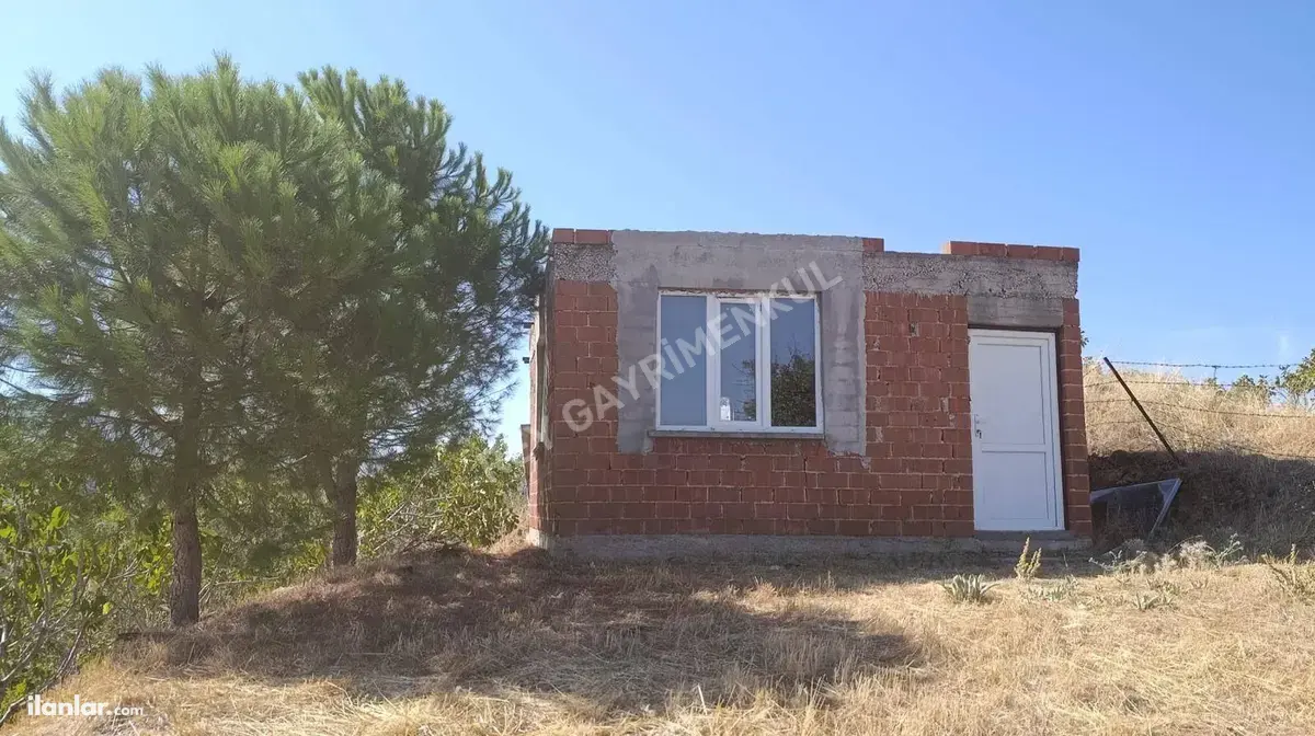 Aydın Yenipazar Paşaköy Mahallesi 15.778 m² satılık tarla arsa - Fotoğraf 3