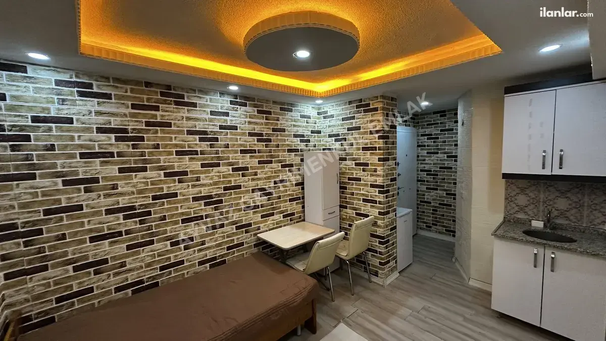 İstanbul Küçükçekmece Gültepe Mahallesi Stüdyo (1+0) 50 m² kiralık daire - Fotoğraf 3
