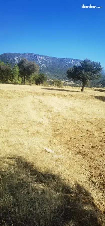 Denizli Acıpayam Karaismailler Mahallesi 551 m² satılık tarla arsa - Fotoğraf 2