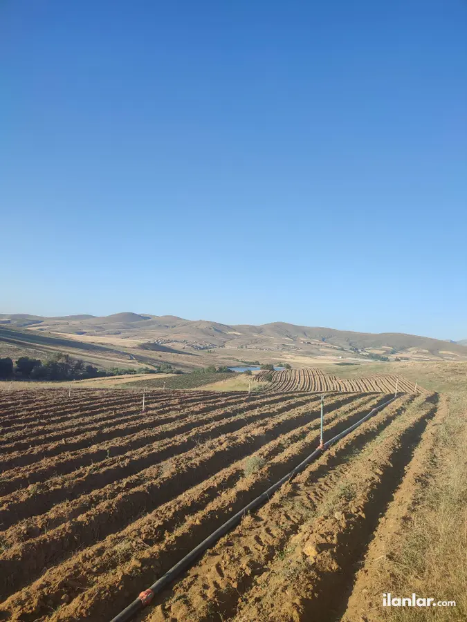 Niğde Merkez Elmalı, Menderes Mahallesi 13.428 m² satılık tarla arsa - Fotoğraf 1