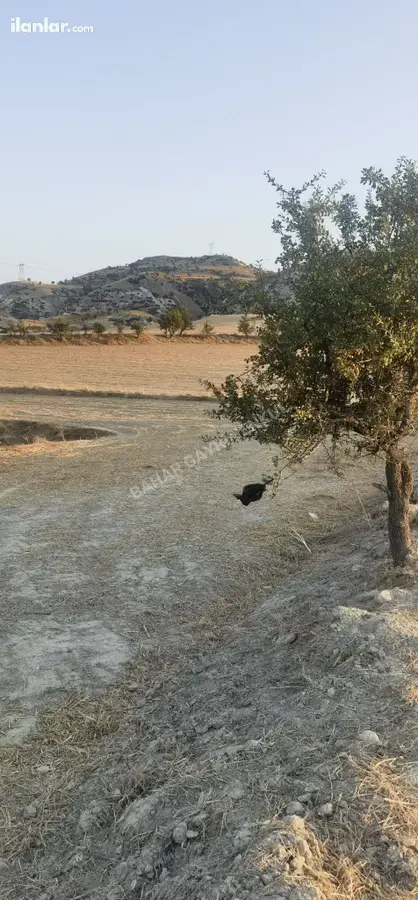 Denizli Sarayköy Beylerbeyi Mahallesi 6.250 m² satılık tarla arsa - Fotoğraf 1