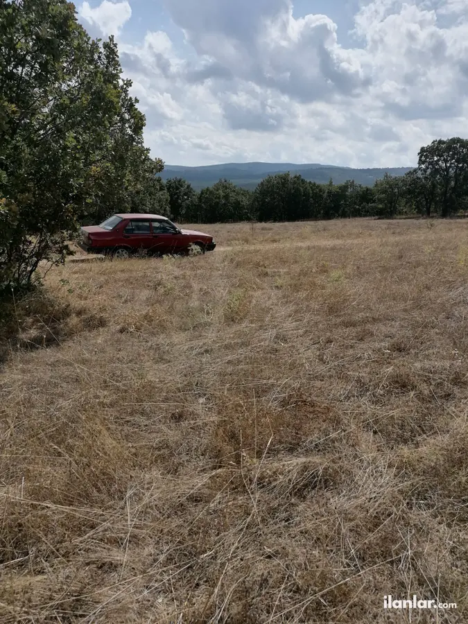Kütahya Tavşanlı Karacakaş Köyü Mahallesi 2.715 m² satılık tarla arsa - Fotoğraf 3
