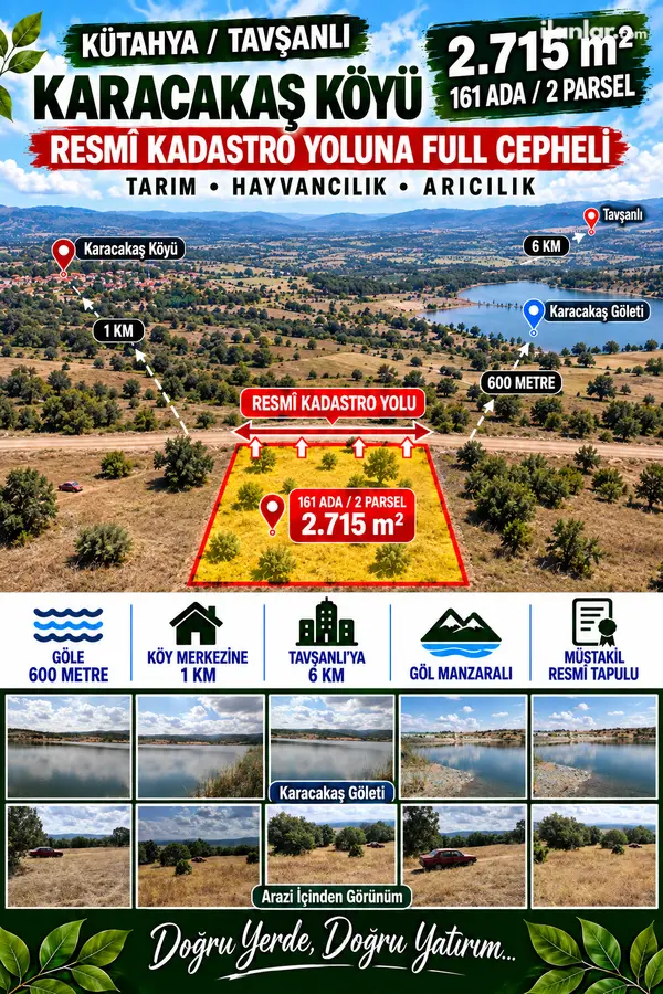 Kütahya Tavşanlı Karacakaş Köyü Mahallesi 2.715 m² satılık tarla arsa - Fotoğraf 1