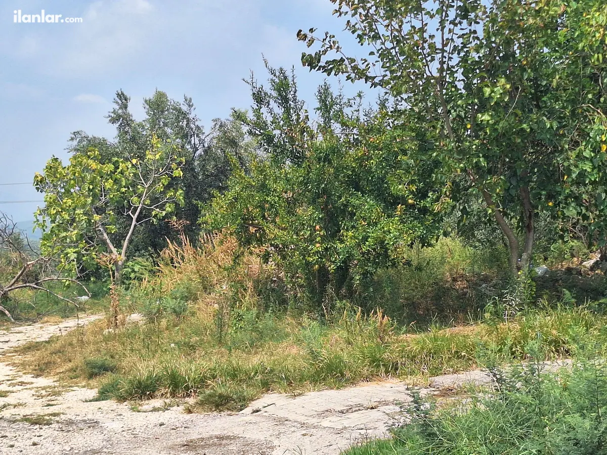 Adana Karaisalı Aktaş Mahallesi 102 m² satılık konut arsa - Fotoğraf 3