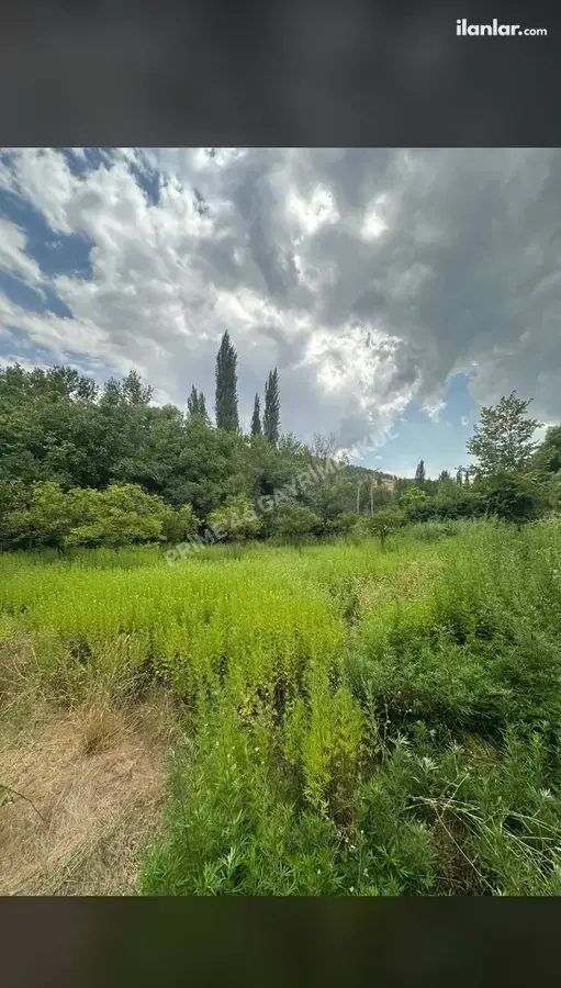Kahramanmaraş Türkoğlu Avşarlı Mahallesi 1.765 m² satılık bağ & Bahçe arsa - Fotoğraf 1