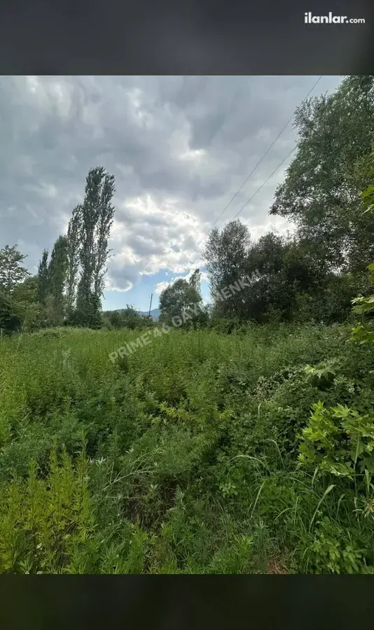 Kahramanmaraş Türkoğlu Avşarlı Mahallesi 1.765 m² satılık bağ & Bahçe arsa - Fotoğraf 2