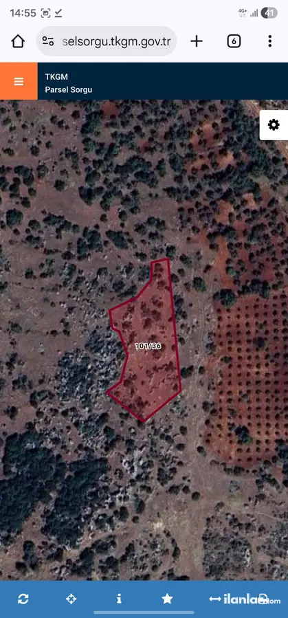 Hatay Altınözü Yunushanı Mahallesi 2.988 m² satılık muhtelif Arsa arsa - Fotoğraf 1