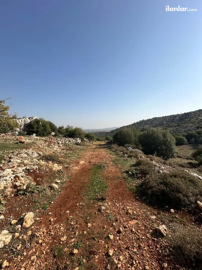 Hatay Altınözü Yunushanı Mahallesi 2.988 m² satılık muhtelif Arsa arsa - Fotoğraf 2
