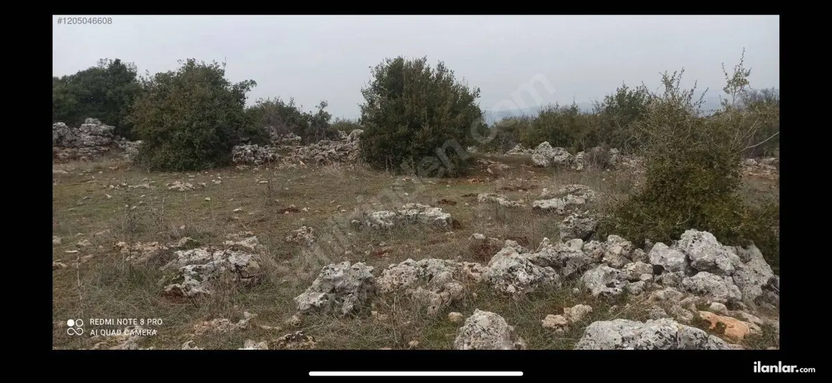 Hatay Altınözü Yunushanı Mahallesi 2.988 m² satılık muhtelif Arsa arsa - Fotoğraf 3