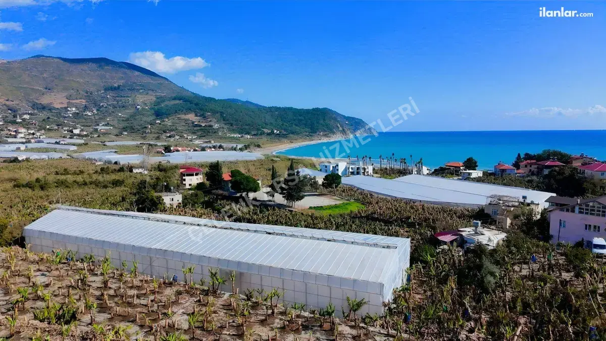 Antalya Gazipaşa Yakacık Mahallesi 854 m² satılık villa arsa - Fotoğraf 2