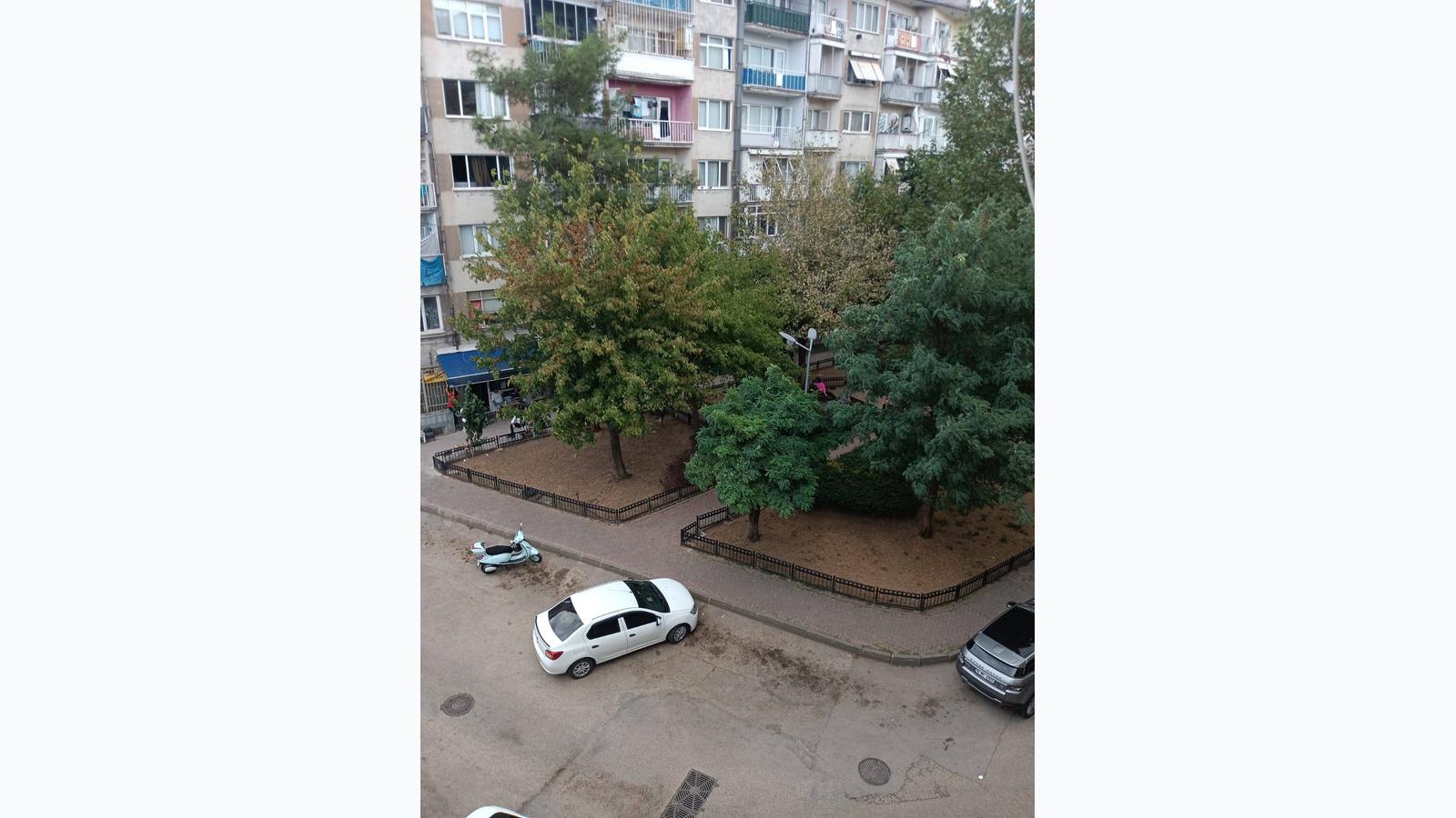 Slide 3