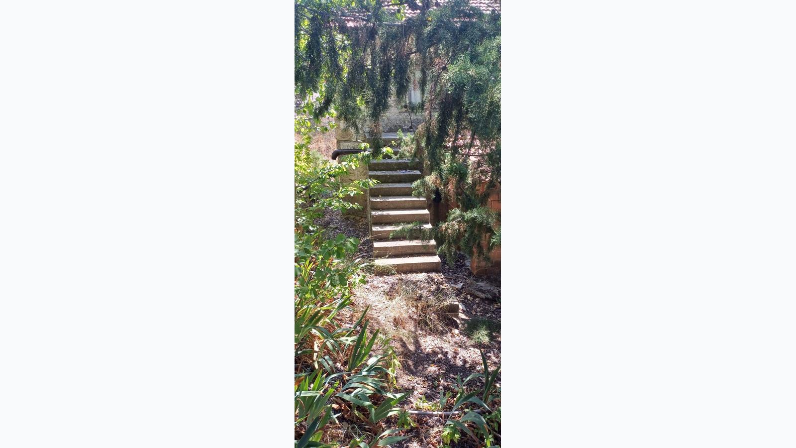 Slide 0