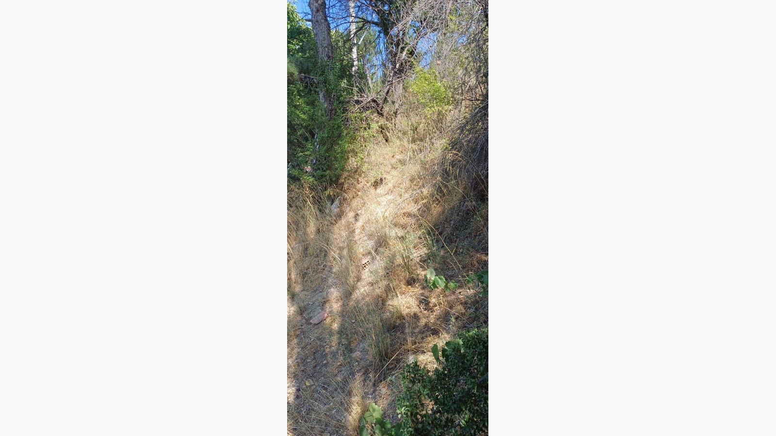 Slide 3
